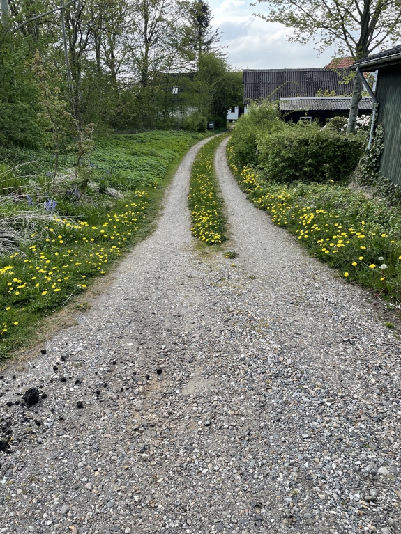 Brolægning af ny indkørsel Frederikshavn
